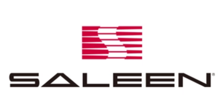 SALEEN