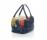 D&G09春夏系列彩色皮革拉链手提包