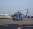欧洲-EC175
