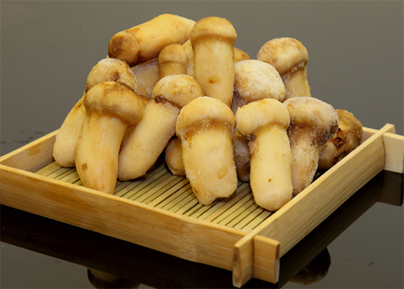 金秋野菌香 鲜味养生两不误