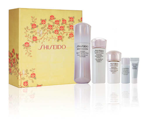资生堂Shiseido2010圣诞八大护肤礼盒